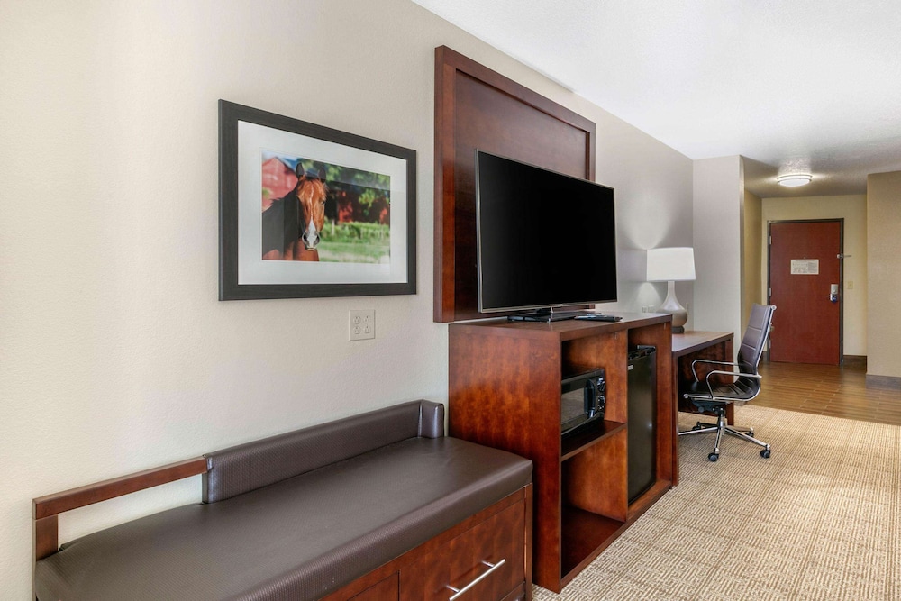 1 King Bed, Suite, Nonsmoking - Photo 6