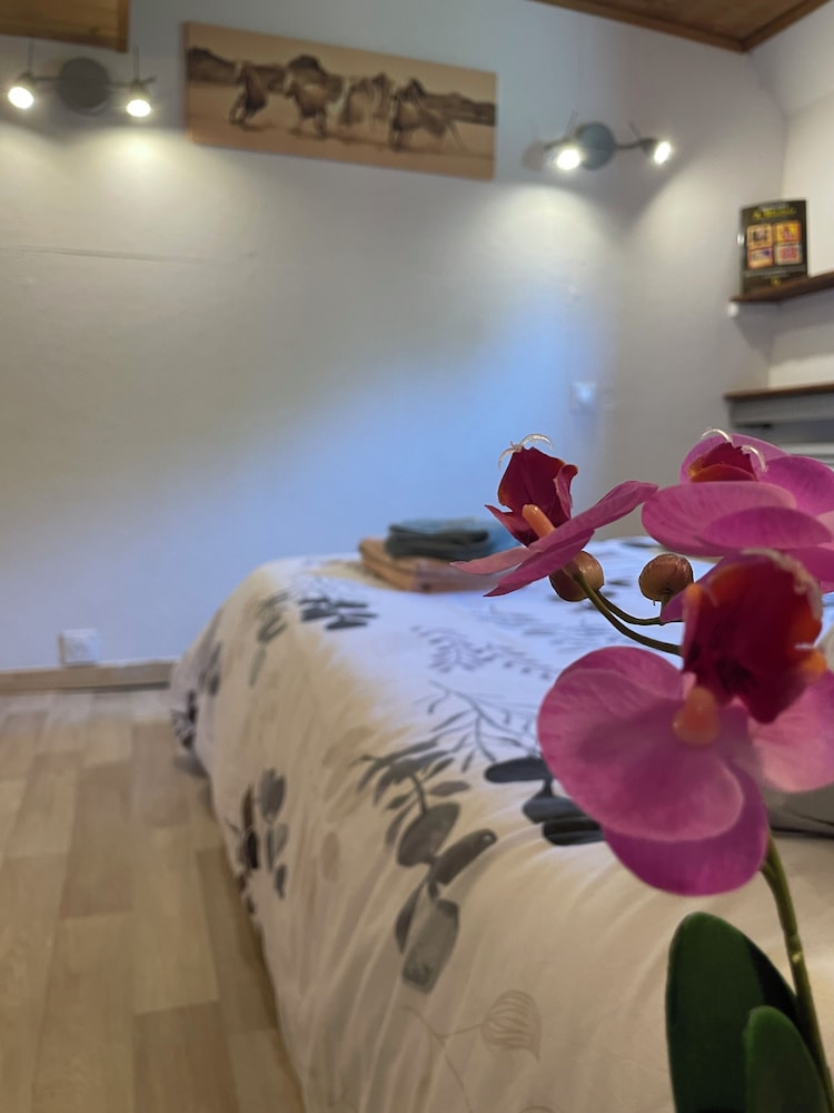 Classic Room, River View photo 1