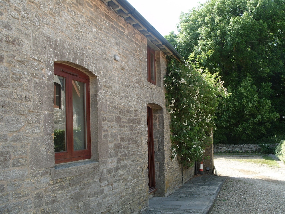 Superior Studio - Photo 6