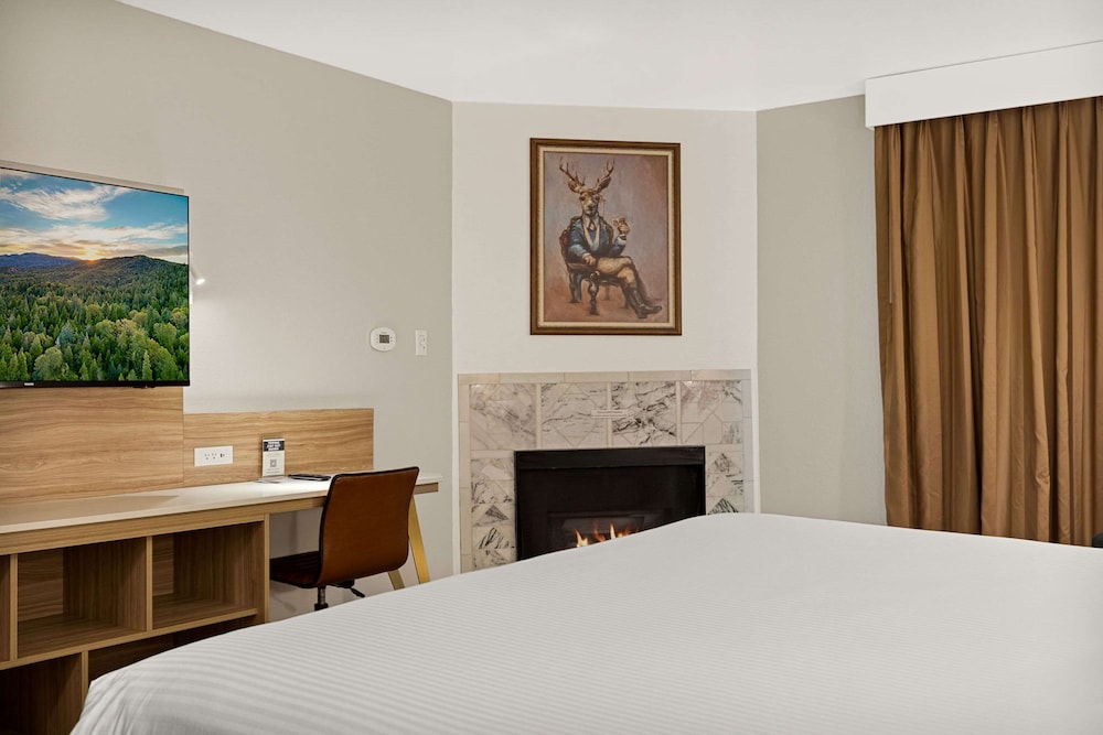 Standard Room, 1 King Bed, Non Smoking, Fireplace - Photo 1