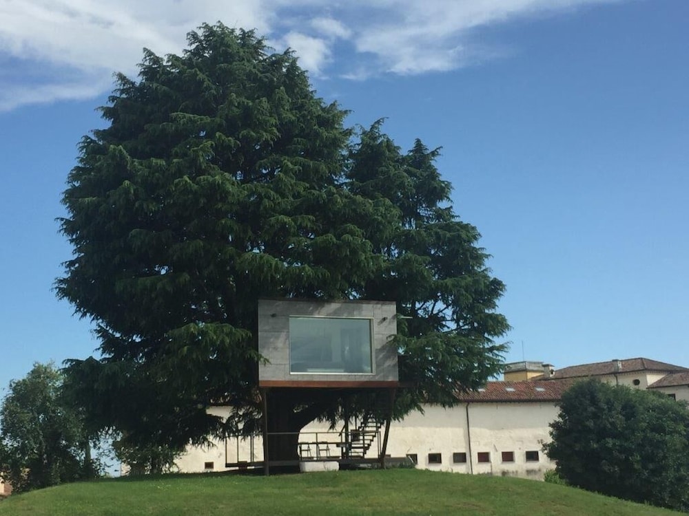 Tree House