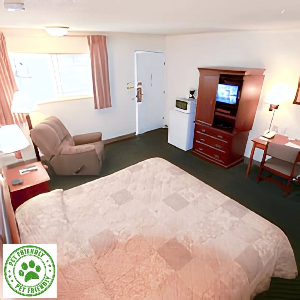 Room, 1 King Bed, Pet Friendly