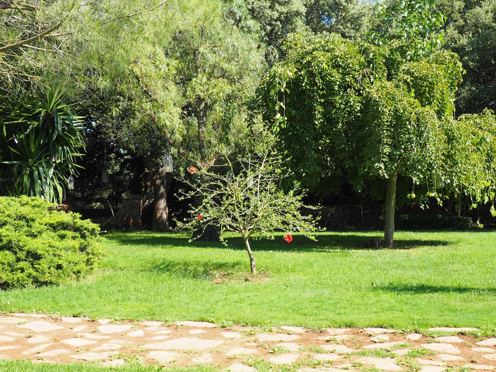 Suite, Terrace photo 3