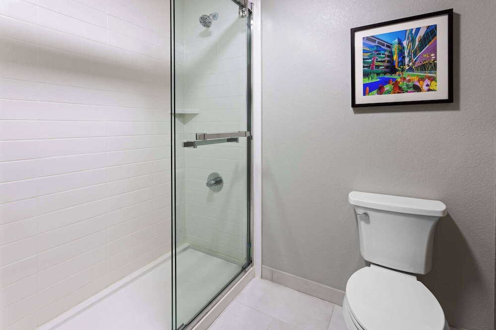 Room, 1 King Bed, Accessible, Non Smoking (Chair, Roll-In Shower, Oversized) - Photo 5