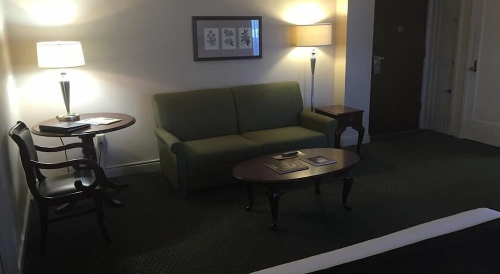 Standard Suite, 1 King Bed (King Junior Suite) (No AirConditioning) - Photo 2