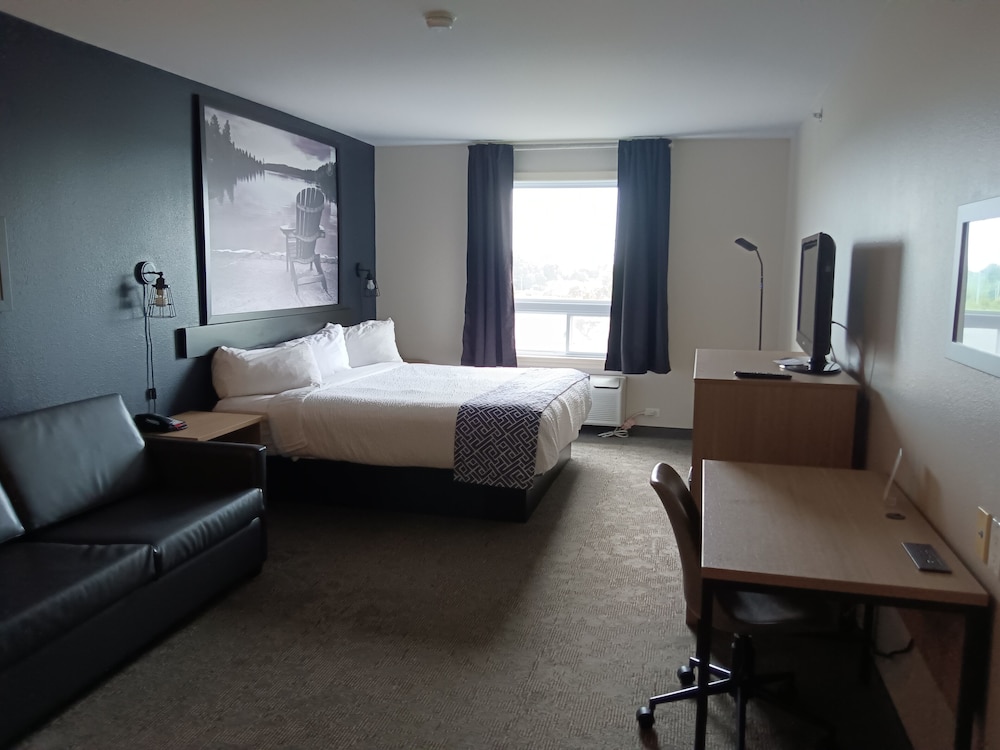 Suite, 1 King Bed with Sofa bed, Non Smoking - Photo 1