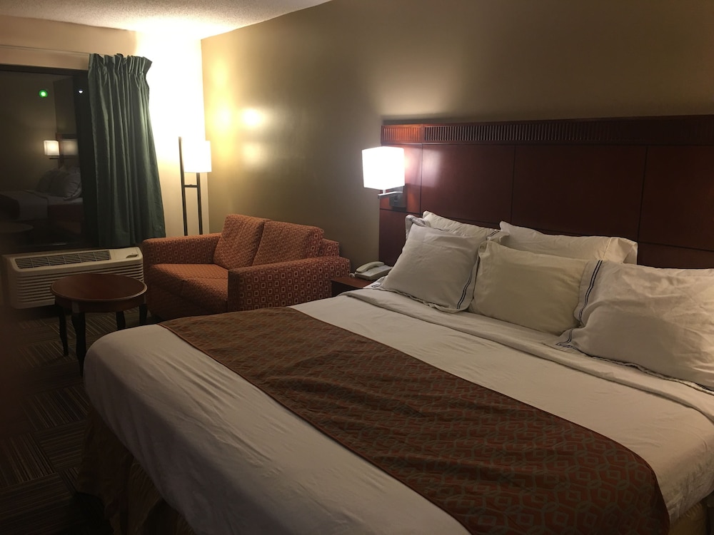 Room, 1 King Bed, Accessible, Non Smoking