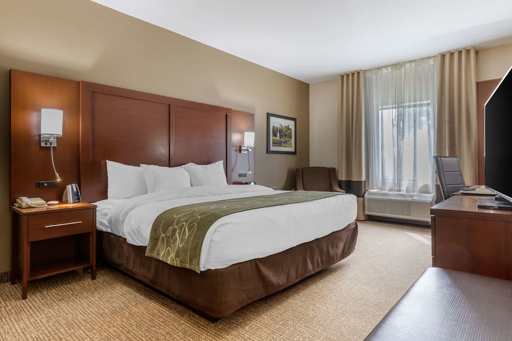 Suite, 1 King Bed, Non Smoking - Photo 3