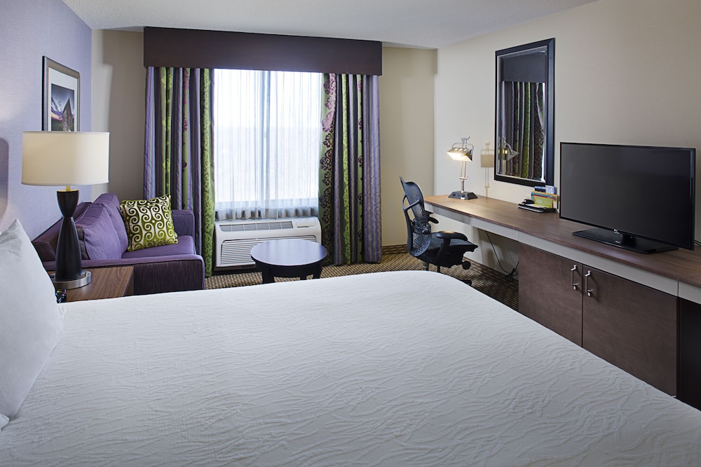Room, 1 King Bed, Accessible (Roll-In Shower) - Photo 1