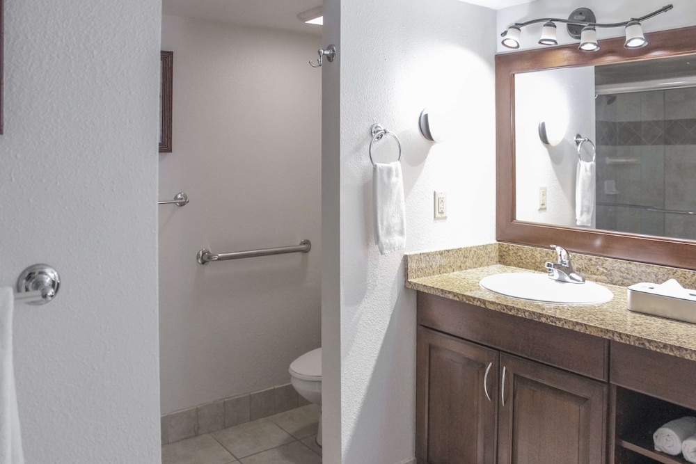 Room, 1 King Bed, Accessible (Mobility & Hearing, Roll-in Shower) - Photo 10
