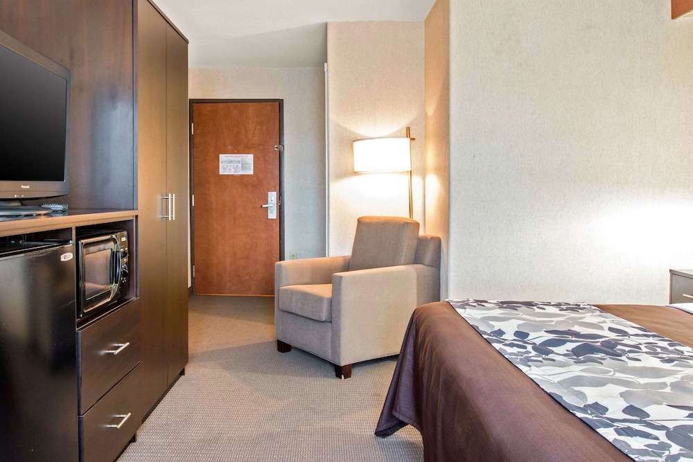 Room, 1 King Bed, Accessible, Non Smoking - Photo 3