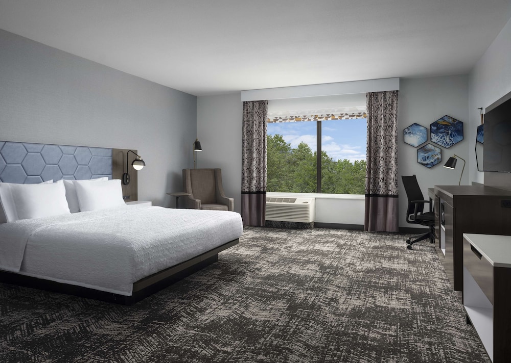 Room, 1 King Bed, Accessible - Photo 1
