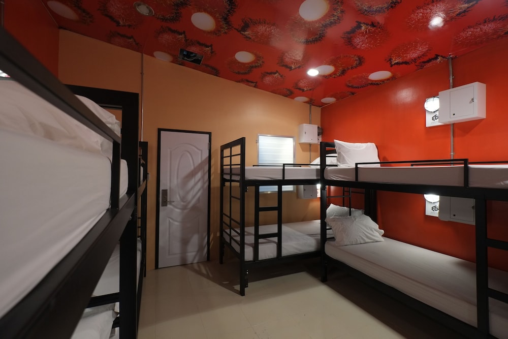 10-Bed Mixed Dormitory with Shared Bathroom photo 1