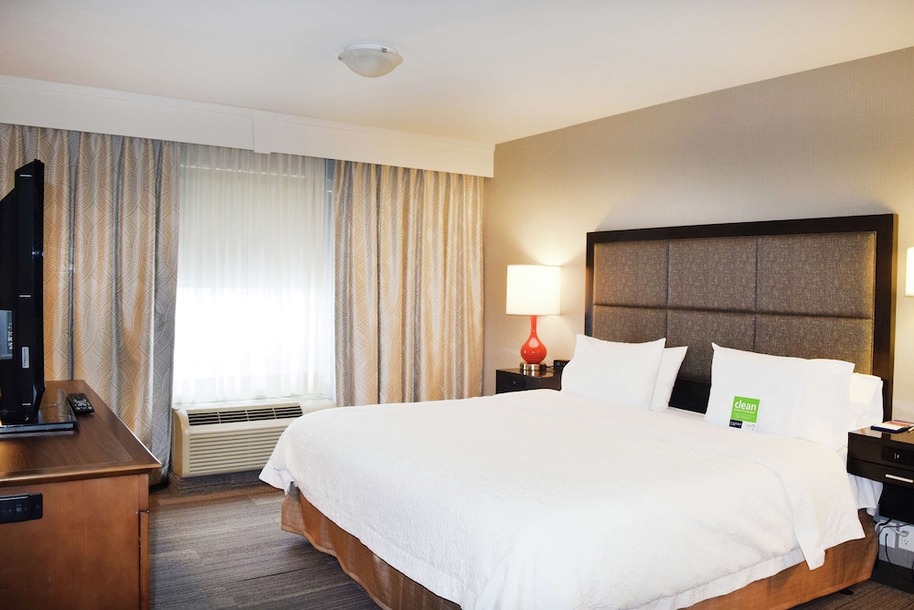 Basic Room, 1 King Bed, Accessible (Roll-In Shower)