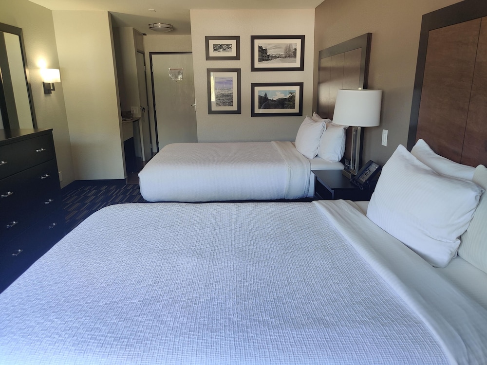Room, Multiple Beds, Non Smoking photo 2
