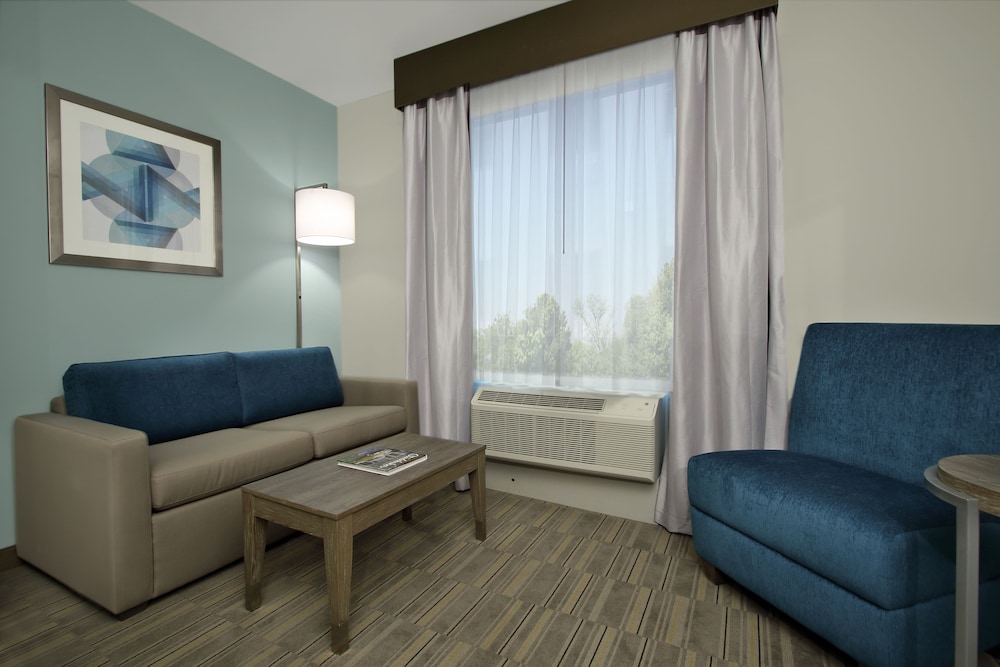 Suite, 1 King Bed with Sofa bed photo 2