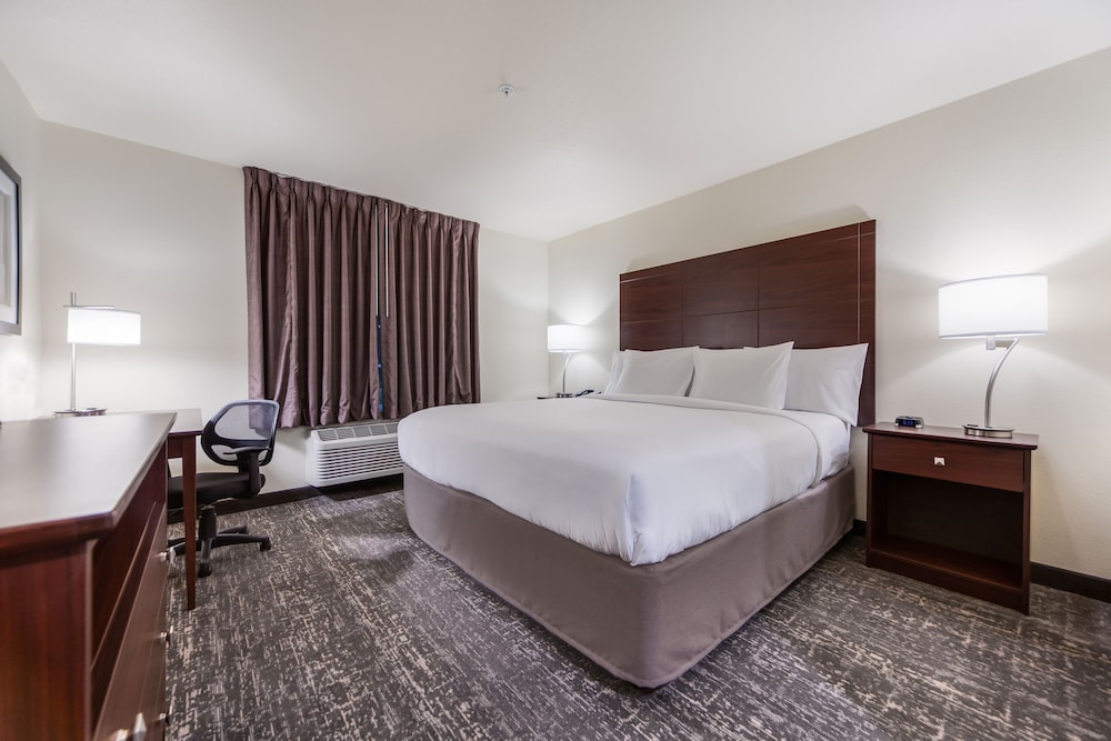 Room, 1 King Bed, Non Smoking (Audible/Visual Alert) - Photo 3