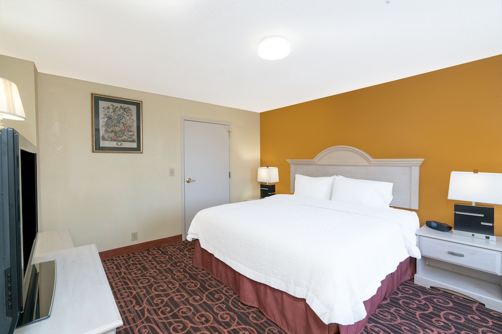 Room, 1 King Bed, Accessible