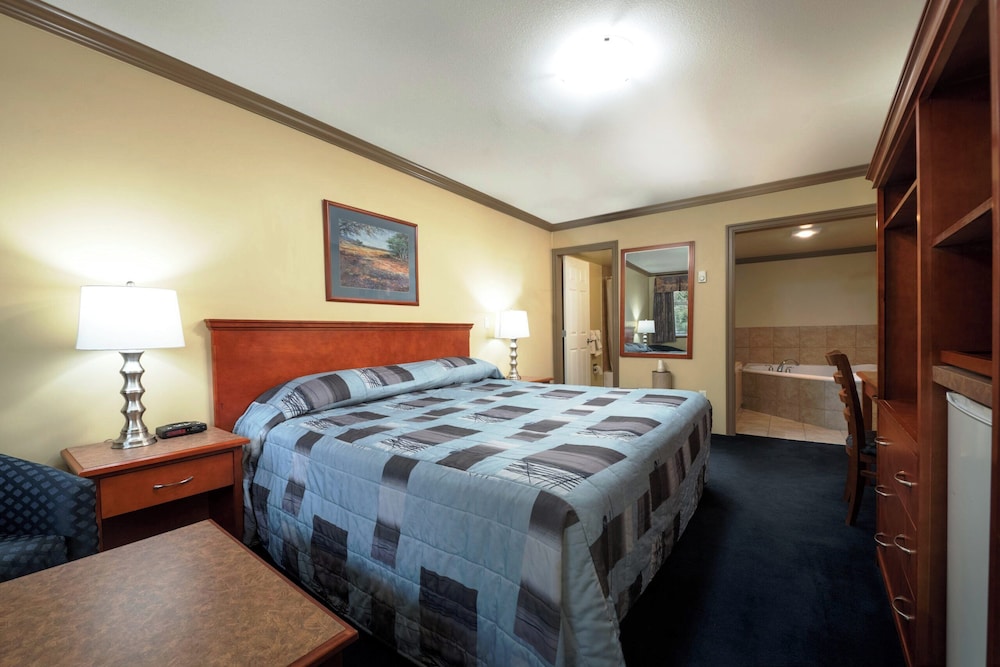Hot Tub Suite, 1 King Bed, Refrigerator & Microwave photo 1