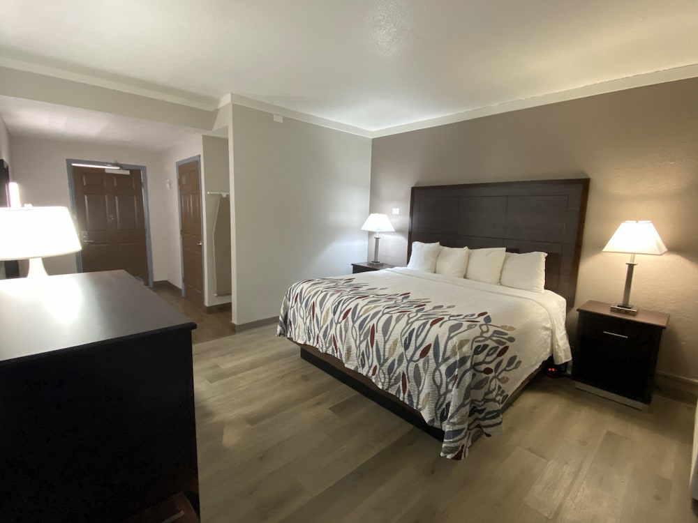 Superior Room, 1 King Bed, Accessible, Non Smoking (Roll-in Shower) photo 1