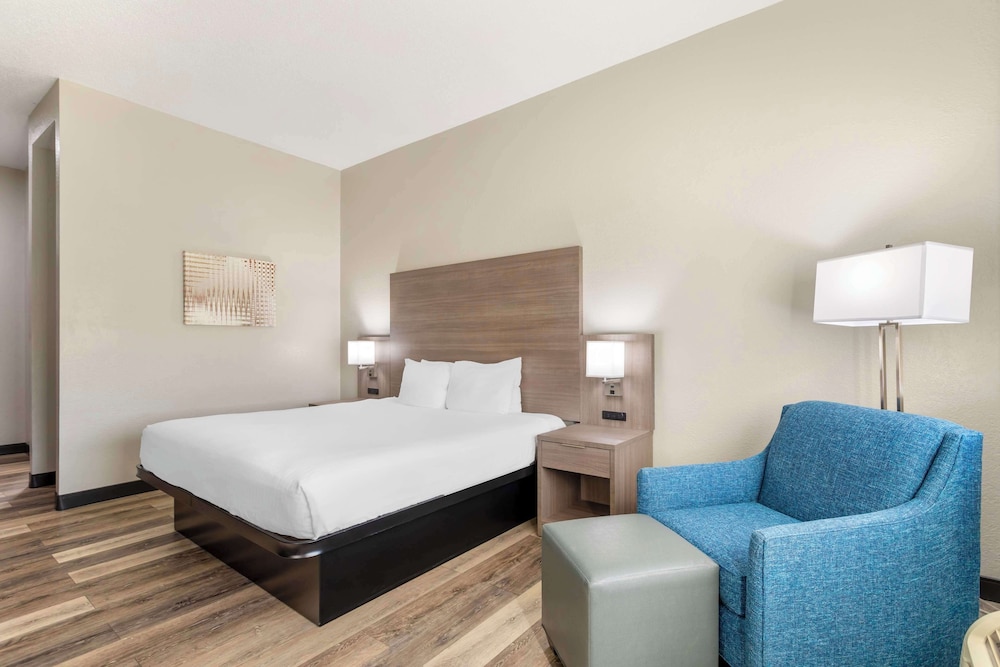 Standard Room, 1 King Bed, Accessible, Refrigerator & Microwave (Walk-in Shower) photo 3