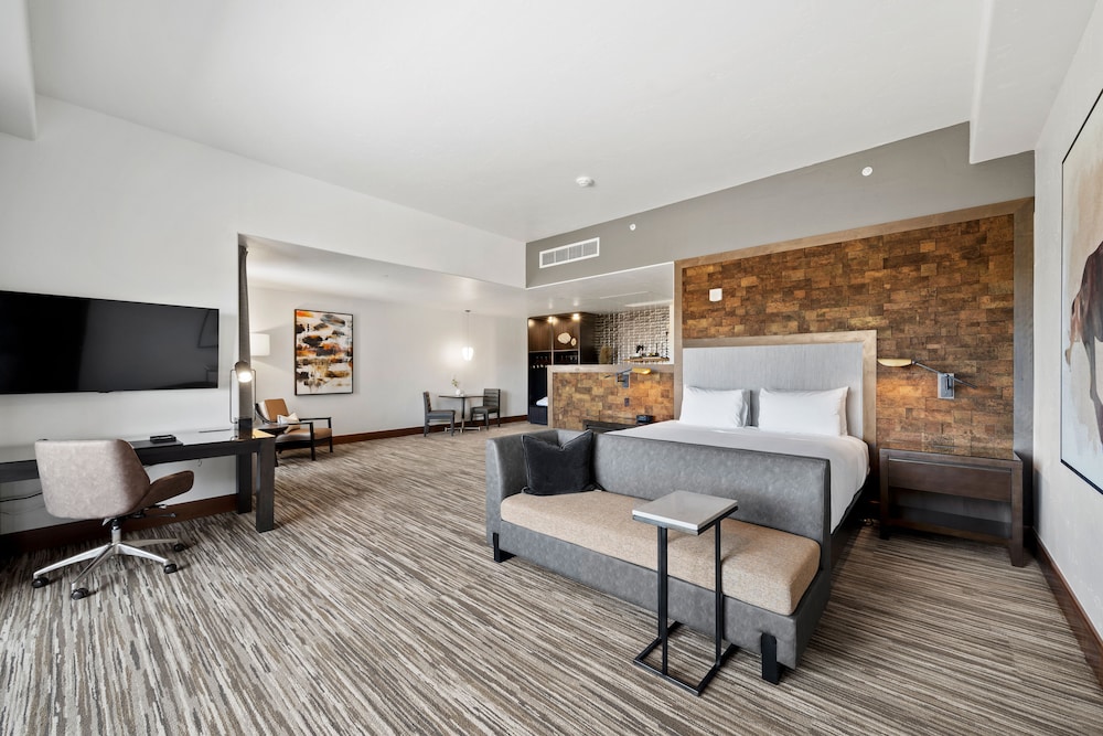 Premium Suite, 1 King Bed with Sofa bed (Academy Suite) photo 1