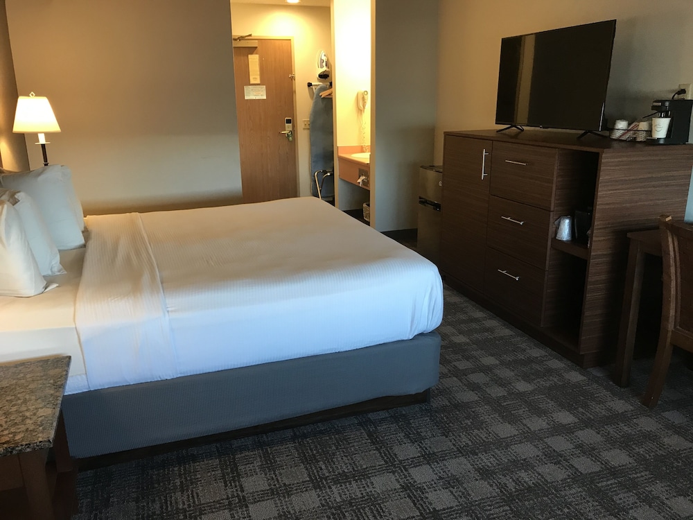 Standard Room, 1 King Bed photo 1