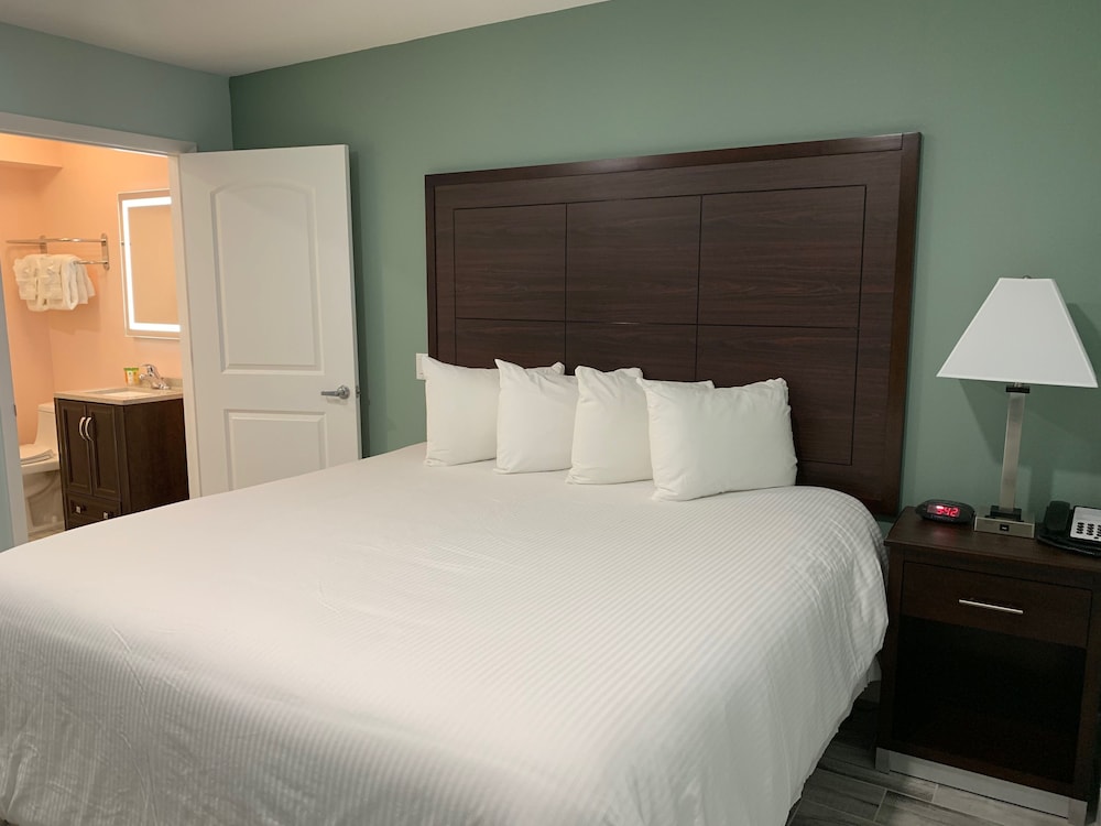 Standard Room, 1 King Bed, Non Smoking, Pets Allowed photo 3