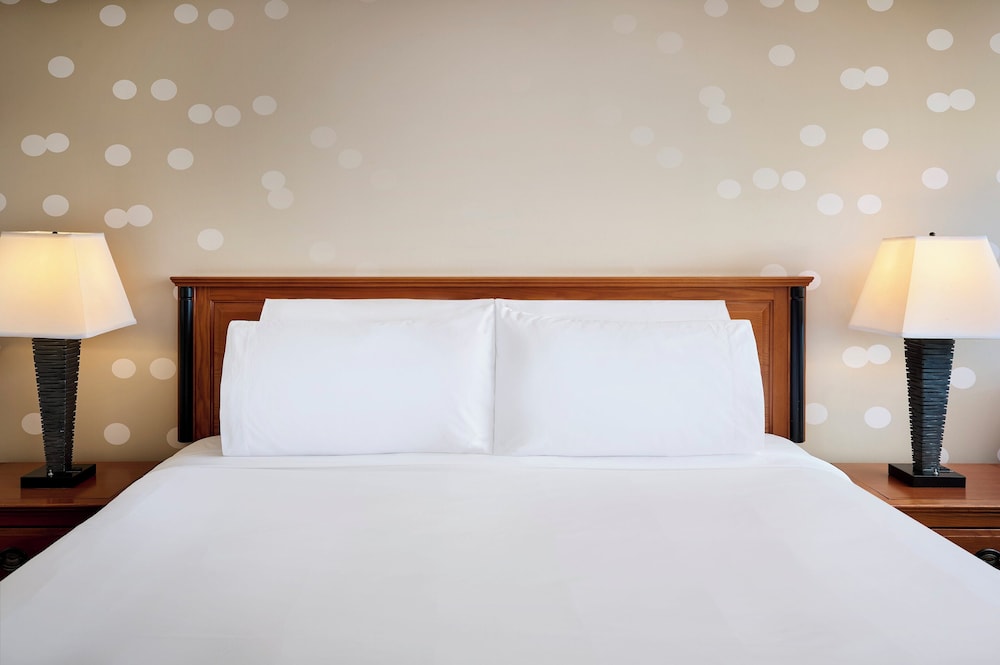 Standard Room, 1 Queen Bed, Accessible Bathtub, Jetted Tub - Photo 1