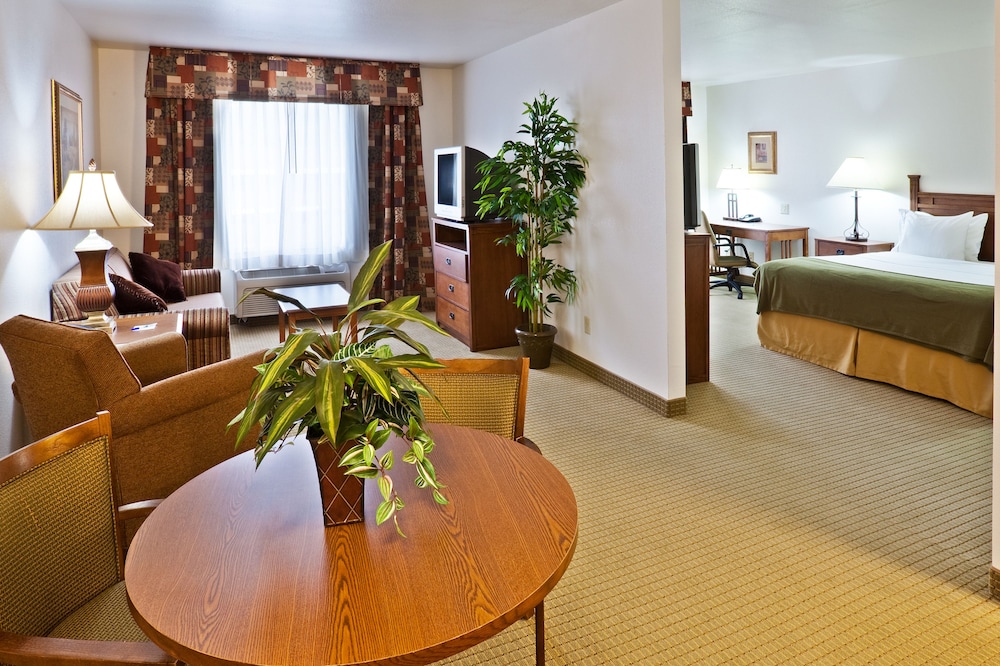 Suite, 1 Queen Bed photo 2