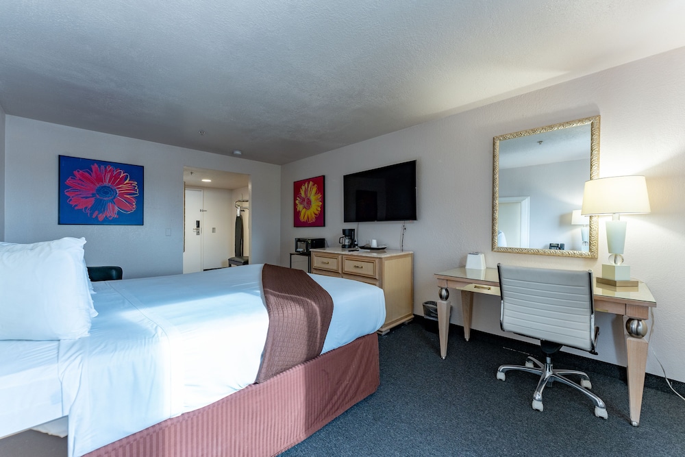 Deluxe Suite (Non Smoking) - Photo 2