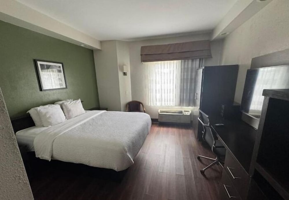 Standard Single Room, 1 Twin Bed photo 1