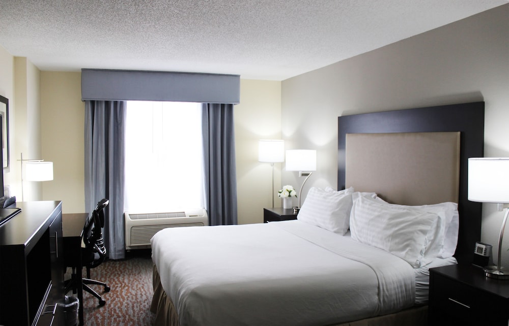 Suite, 1 Bedroom, Kitchen - Photo 3