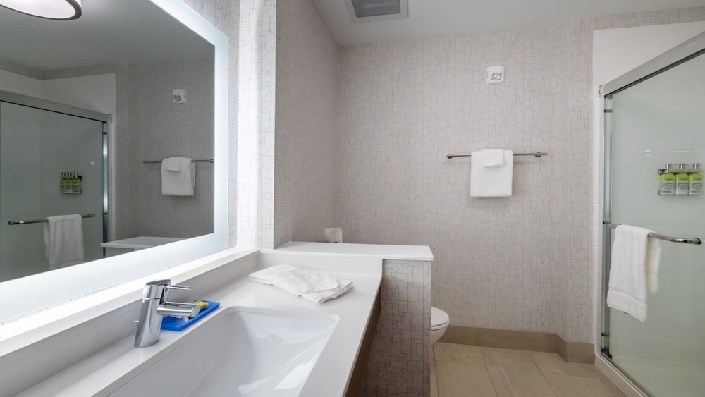 Suite, 1 King Bed (Walk-In Shower) - Photo 8