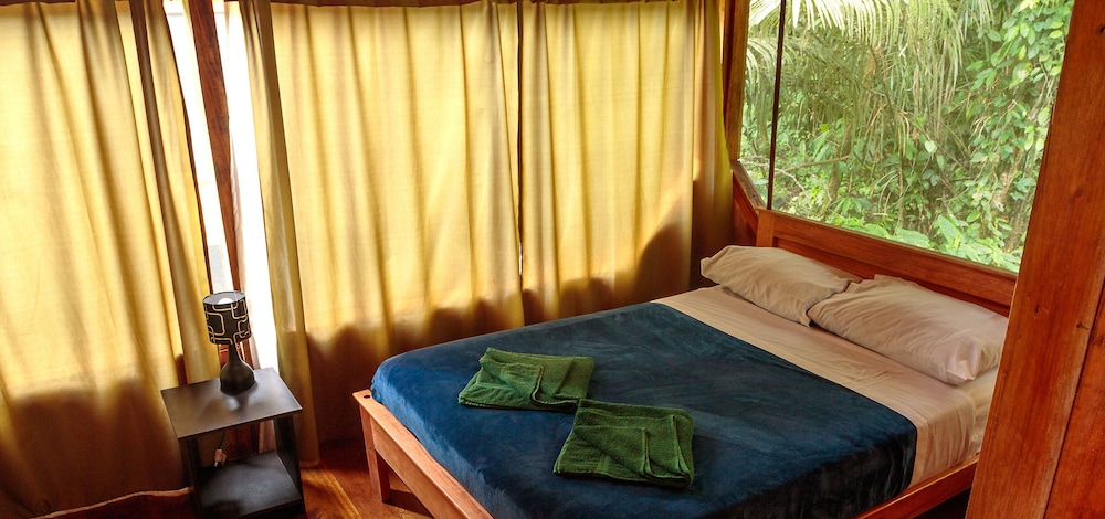 Traditional Room photo 1