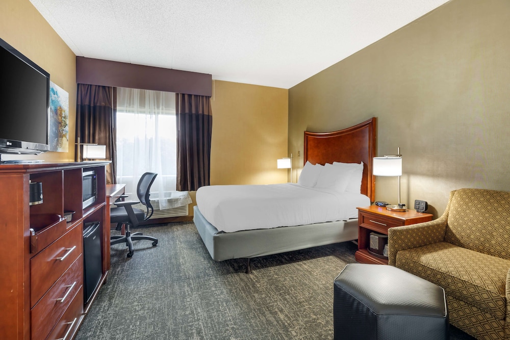 Standard Room, 1 Queen Bed, Accessible, Refrigerator & Microwave (Walk-In Shower) - Photo 3