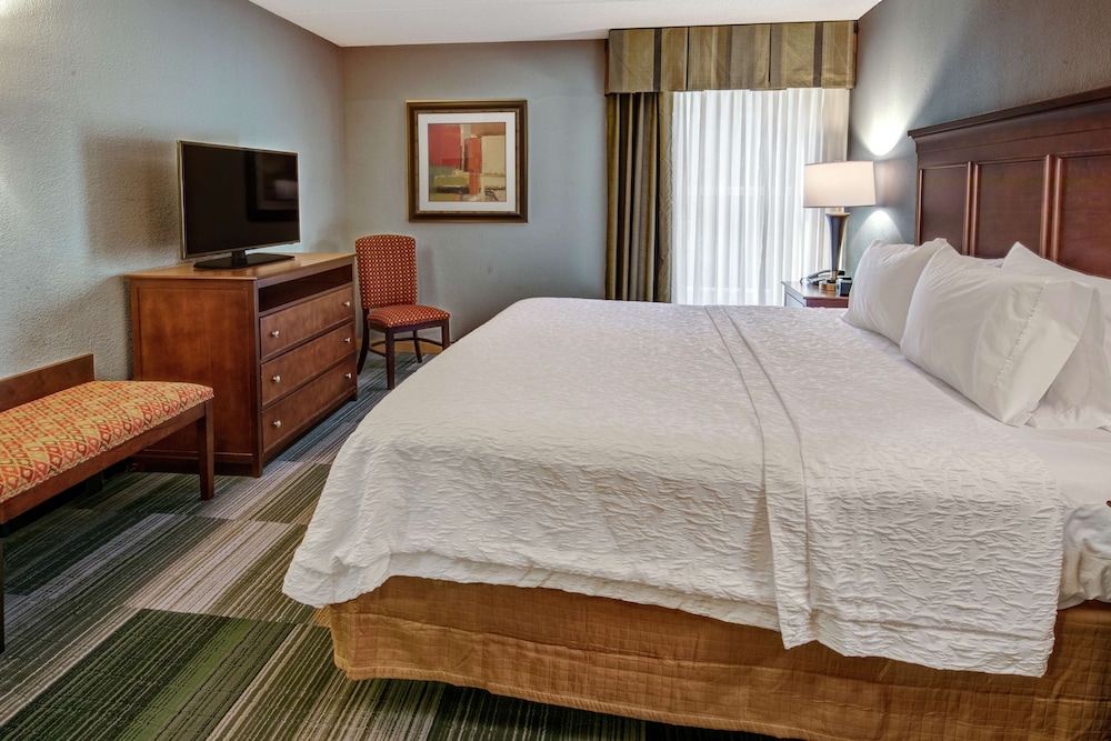 Suite, 1 Bedroom photo 2