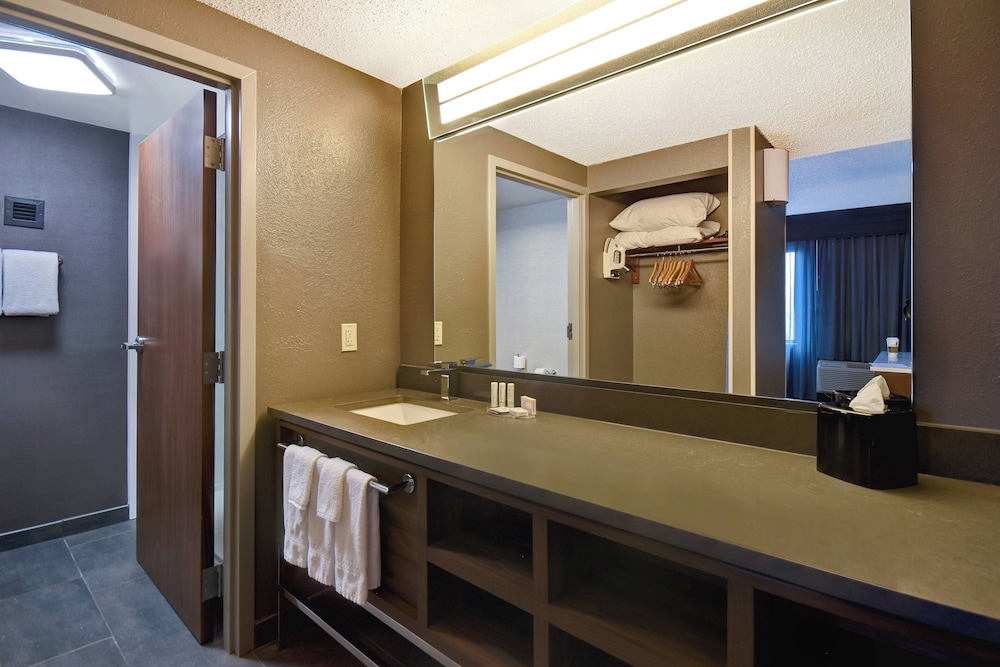 Room, 1 King Bed (Mobility Accessible, Roll-In Shower) - Photo 1