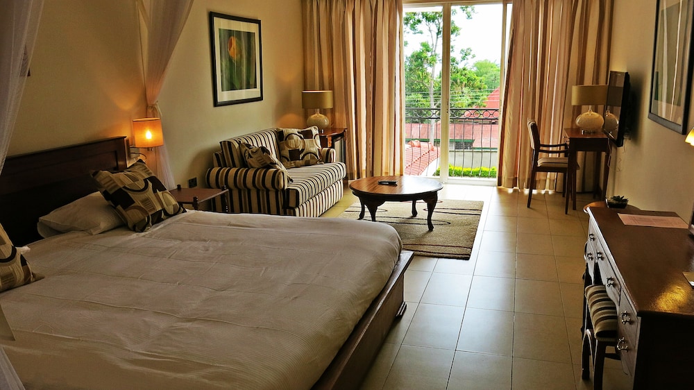 Deluxe Double Room, 1 King Bed, Garden View, Ground Floor photo 1