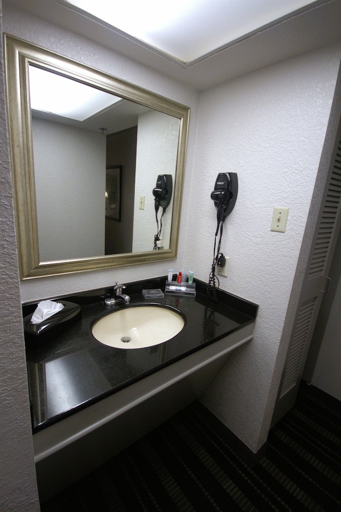 Standard Room, 2 Queen Beds, Non Smoking, Refrigerator & Microwave - Photo 11