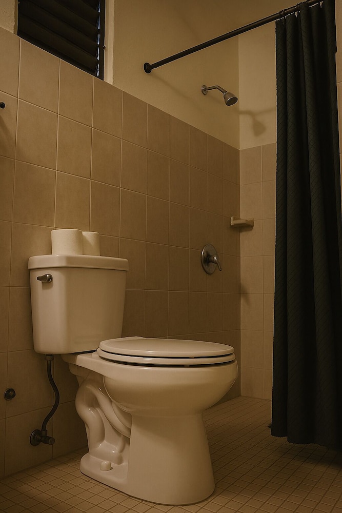 Standard Single Room, Non Smoking photo 3