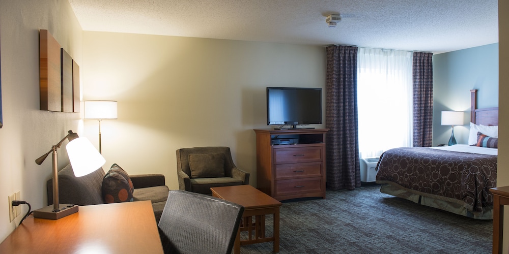 Studio Suite - Photo 2