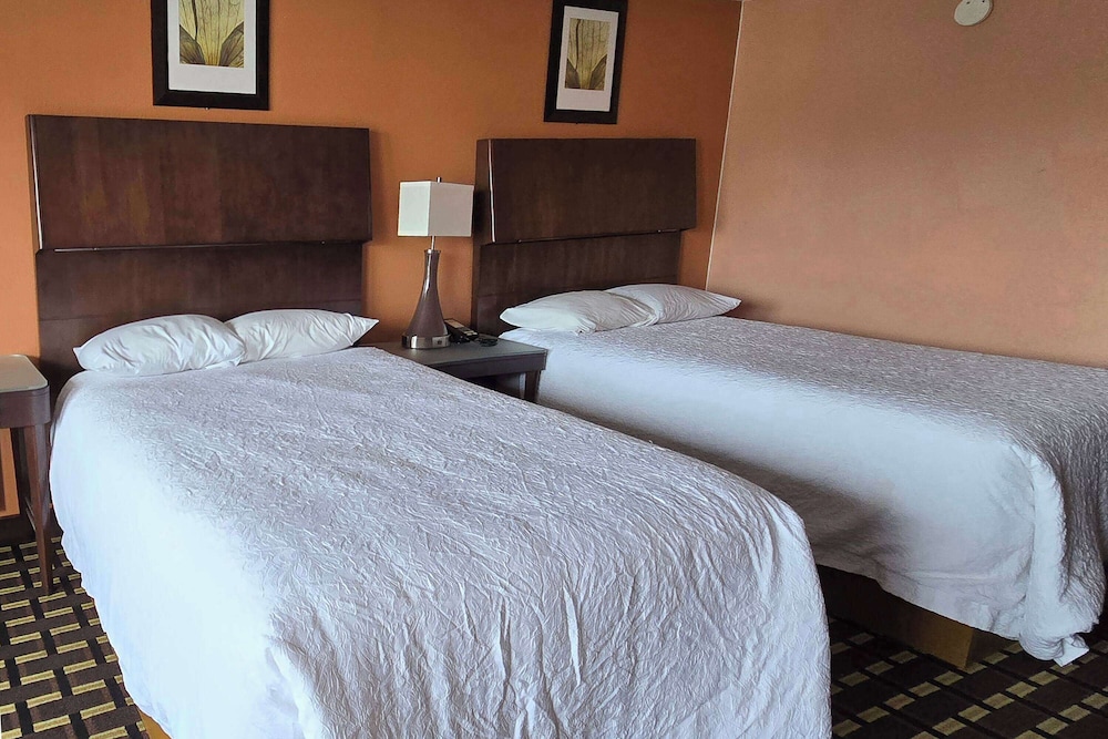 Family Room, Multiple Beds, Non Smoking