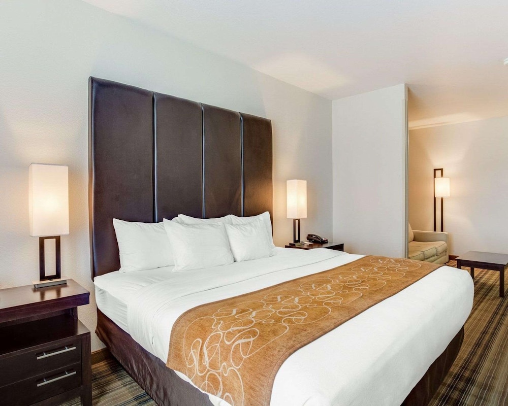 Suite, 1 King Bed, Non Smoking - Photo 4