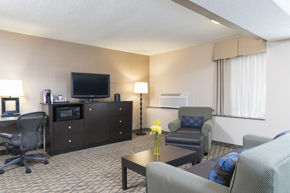 Suite, 1 King Bed photo 3
