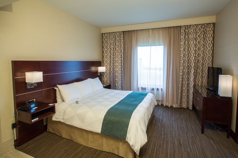 Suite, 1 King Bed, Accessible, Non Smoking - Photo 3