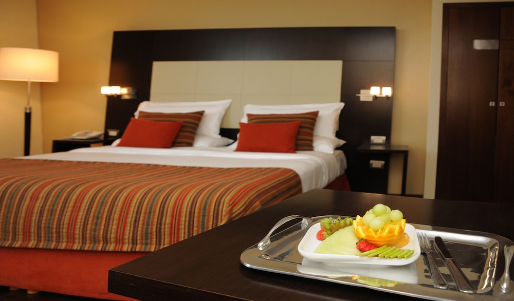 Executive Room photo 1