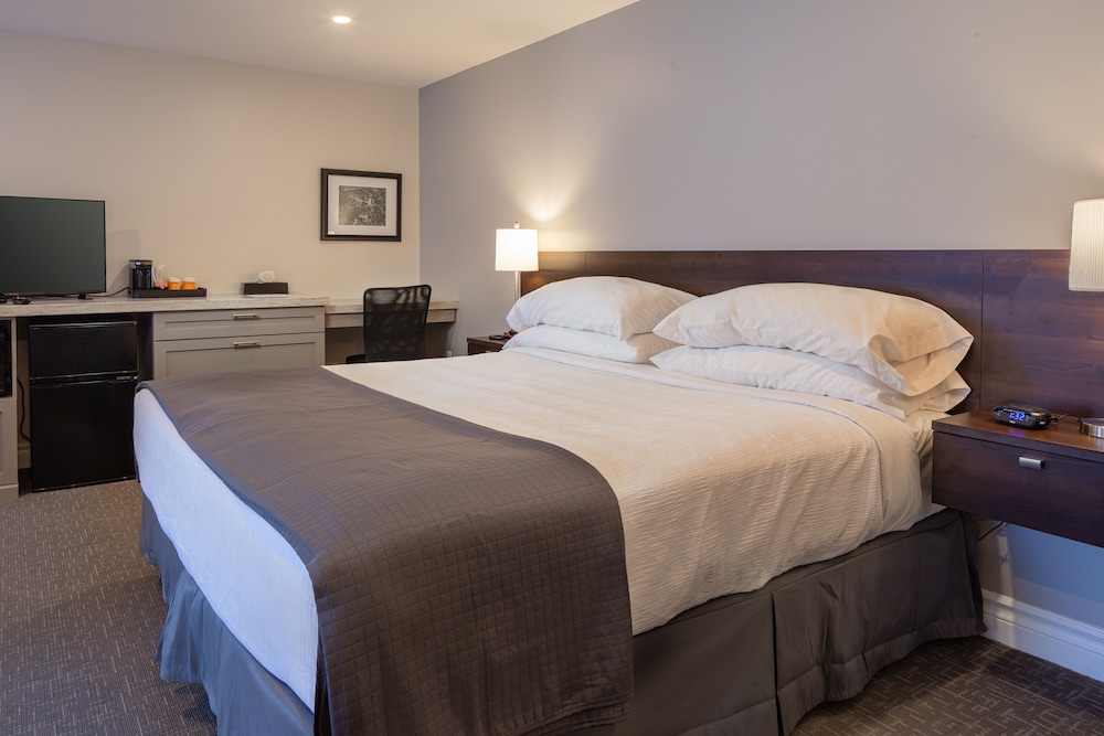 Executive Room, 1 King Bed photo 1