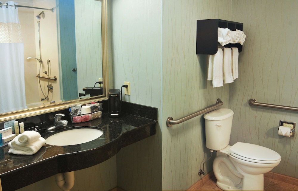 Room, 1 King Bed, Accessible - Photo 4