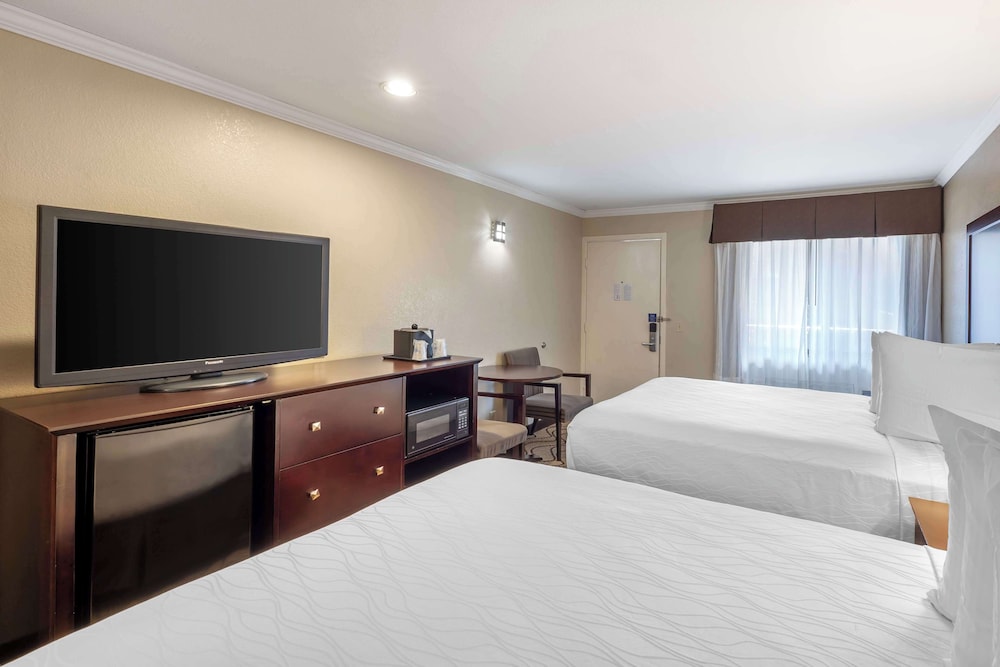 Suite, Multiple Beds, Non Smoking - Photo 6